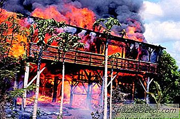 คุณต้องประกาศจ่ายเงินประกันหรือไม่?