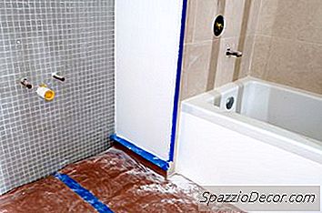 平均房主保险是否涵盖黑霉菌?