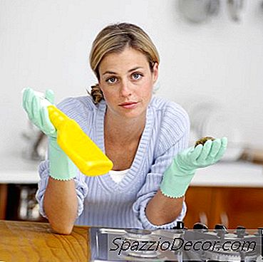 Quanto Denaro Spende Una Famiglia Media Per I Prodotti Di Pulizia In Un Anno?