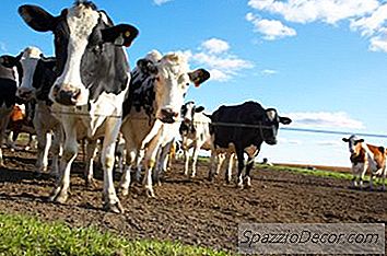 Comment Déduire Les Dépenses Liées Aux Terres Agricoles Détenues En Location Comptant