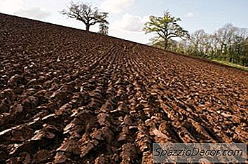 Schattingen Van Vermogenswinsten Belastingen Op Verkochte Terreinen Land