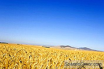 Nodokļu Bāze Un Zemes Pārdošanas Izdevumi