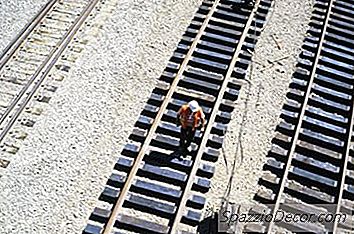Che Cosa Sono I Contributi Di Livello 1 Sulle Tasse?
