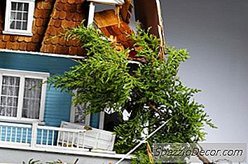 房主的保险会在暴风雨后为树木清除和碎片清理付出代价吗？