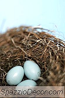 Annuities Loss &Amp; Tax Deduction