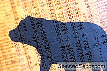 Bir Ayı Piyasasında Hisse Senedi Alımı