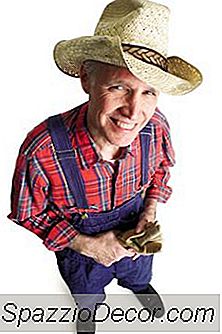 Kann Ein Ira Ackerland Besitzen?