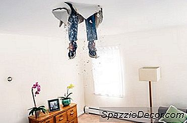 Posso Essere Insultato Da Qualcuno Che Si Fa Male A Casa Mia?