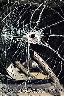 ¿Puede Reclamar Vandalismo En El Automóvil De Un Huésped En Su Seguro De Propietario De Vivienda?