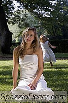 Diy Casamento Minúsculo Do Orçamento
