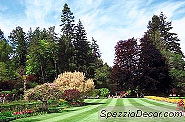 Est-Ce Que Ne Pas Avoir Mal À La Cour Arrière Revente?