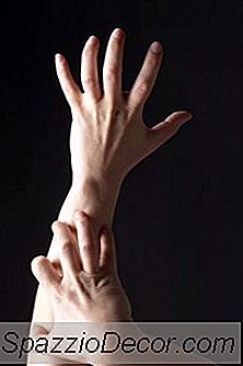 A Infestação De Percevejos De Cobertura De Seguro Do Locatário?