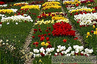 In Che Modo L'Architettura Del Paesaggio Aumenta Il Valore Della Proprietà