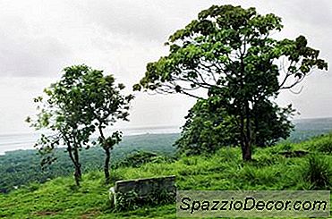 Como Avaliar As Terras Vagas E Não Construídas