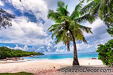 Bagaimana Cara Memilih Kondo Pantai Untuk Penghasilan