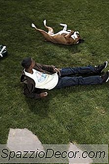 Cómo Hacer Herbicidas