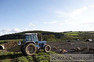 Cum Să Gestionați Veniturile Recurente