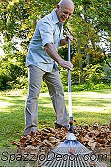 Compostagem Foliar Para Mulch De Gramado