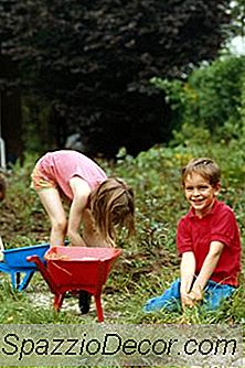 Quali Pesticidi Organici Sono Sicuri Per Il Mio Giardino Vegetariano?