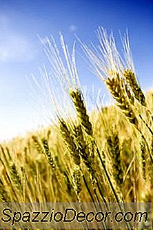 De Ce Este Bine Să Investești În Mărfurile De Grâu?