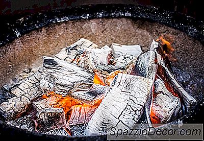 Esperto Istantaneo: Cucinare Con Fumo Liquido