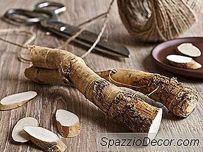 Especialista Instantâneo: Rábano - O Molho Que Você Precisa Em Sua Geladeira