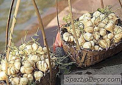त्वरित विशेषज्ञ: जीका के साथ अपने स्वस्थ खाने के खेल को कैसे करें