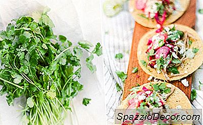 Portorické Pulkované Vepřové Tacos