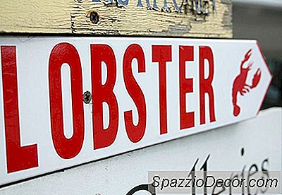 Sfaturi Pentru Cumpărarea Și Gătit Lobster La Domiciliu