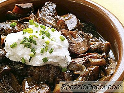 Ciuperci Sălbatice Cu Brânză