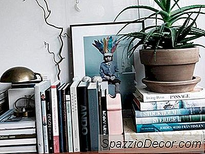 Livros 10 Para O Dia Nacional Dos Amantes De Livros