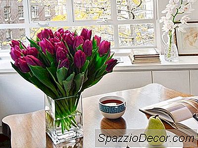 10 Limpeza Brilhante Hacks Todo Adulto Deve Saber