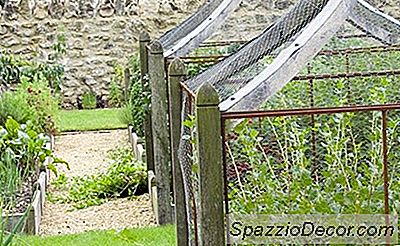 10 Gardens Dari Pinterest Anda + Ibu Akan Suka