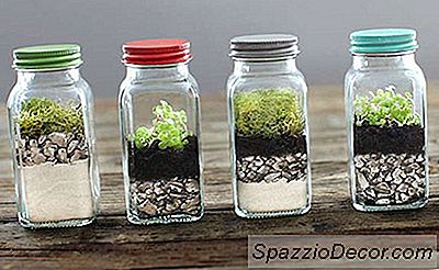 12 Terrarium Tablet Tiny Anda Boleh Diy