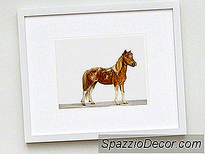 Decoração Inspirada Em Eqüinos Sob $ 200