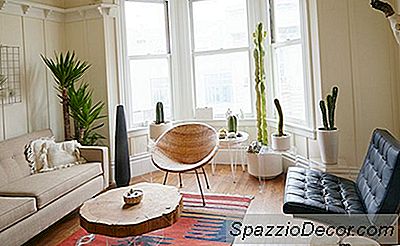 ホームツアー：このアーティストのSfパッドはPlant Loverの夢です