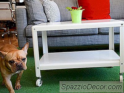 Barkbox Of Yavru Dostu Downtown Manhattan Loft İçinde