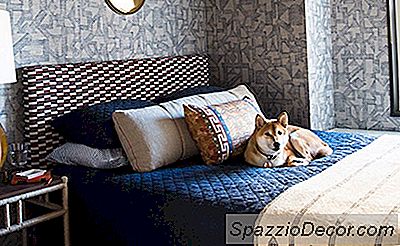 Zak + Fox Fundador Zak Profera Abre Seu Tribeca Home