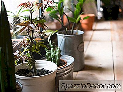 7 Dinge In Ihrem Zuhause, Die Sie Töten Können