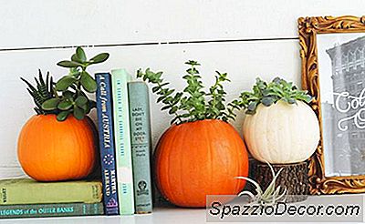 Pumpkin Succulent Planters Er Den Perfekte Halloween Diy