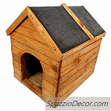 Cedar Dog Evleri Köpekler İçin Kötü Mü?