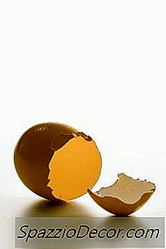 Eru Eggjaskurn Góð Fyrir Kápu Hunda?