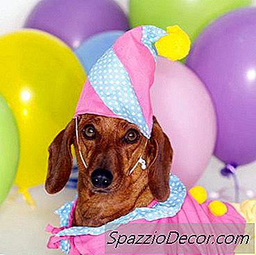 Προβλήματα Εξισορρόπησης Στα Σκυλιά