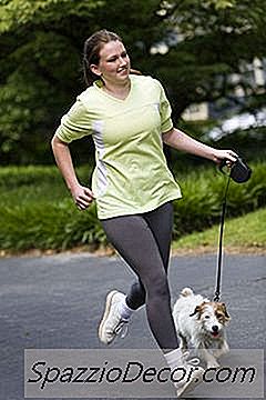 I Migliori Cani Per Qualcuno Che Lavora Tutto Il Giorno