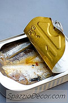 Kediler İçin Omega 3'In En İyi Kaynağı