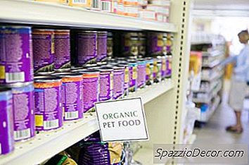 Can Rice Hurt Cats