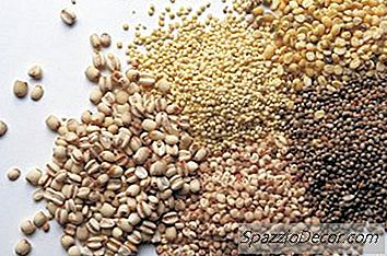 Kaķu Barība, Kas Samazina Vēdera Uzpūšanos