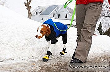 Diy Honden Tractie Laarzen