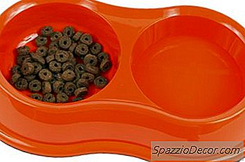 Котките Се Отегчават От Храната Си?