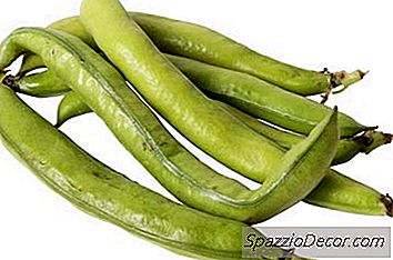 Do Green Beans Slank Dieet Obese Katten Helpen?